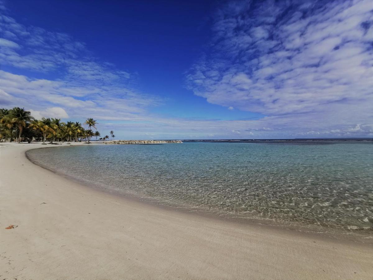 T2 Toloman - Sainte-Anne Centre - Acces Plage A Pied Dış mekan fotoğraf
